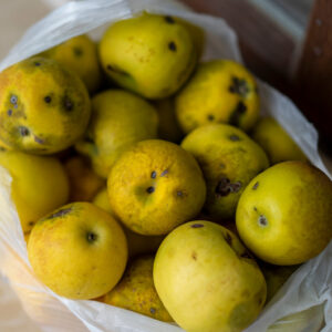 bruised produce